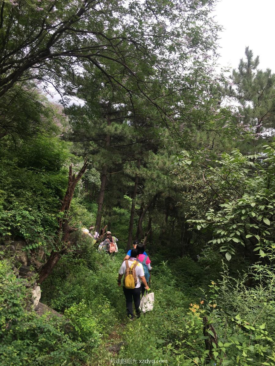 mmexport1596368154686