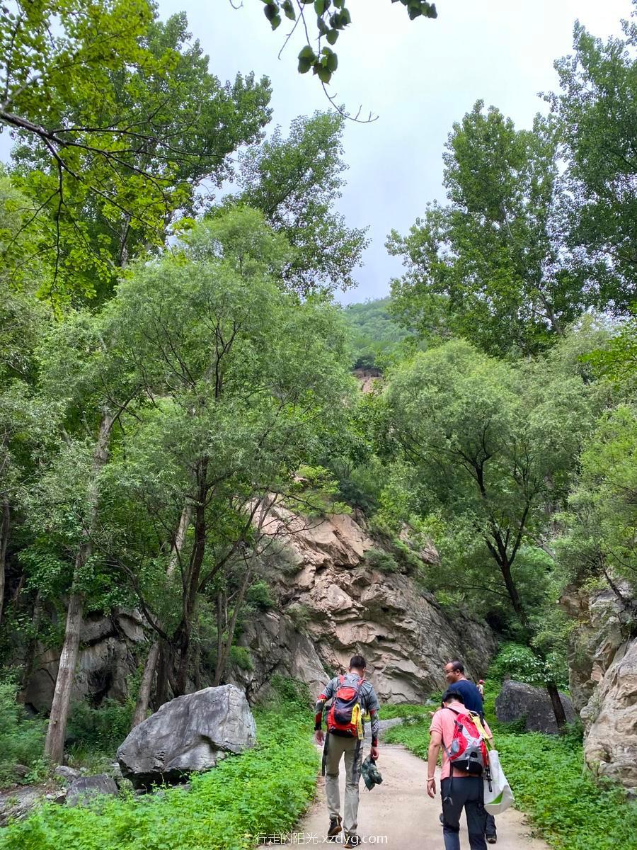 mmexport1596368920894