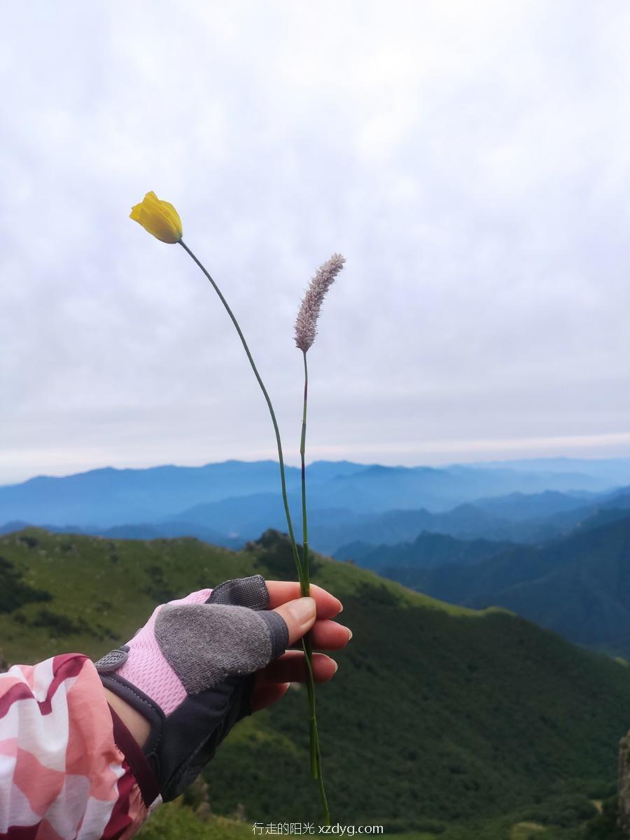 mmexport1595755229964