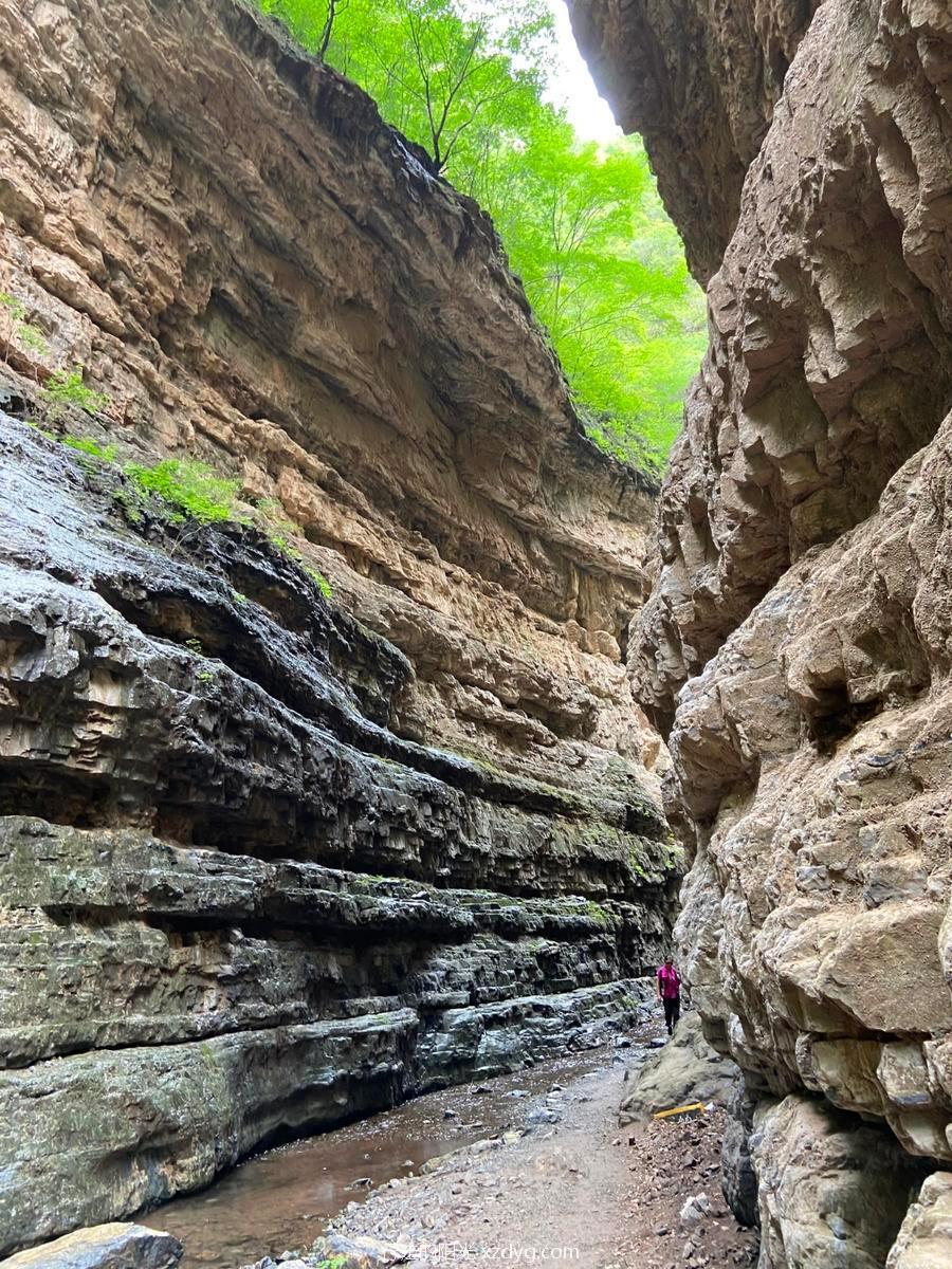 mmexport1595084961172