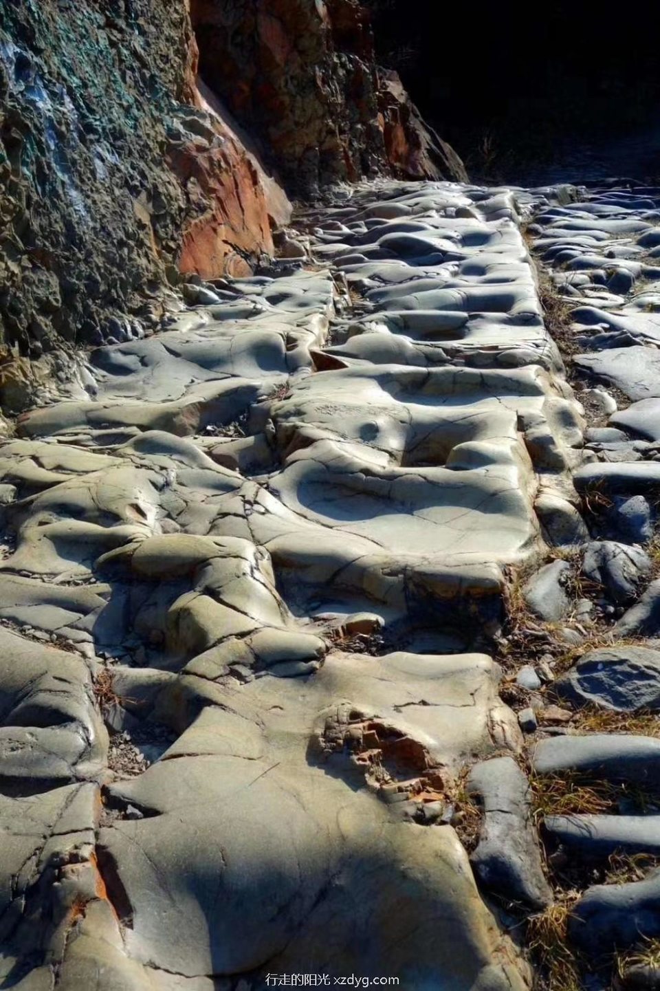 mmexport1597071559229