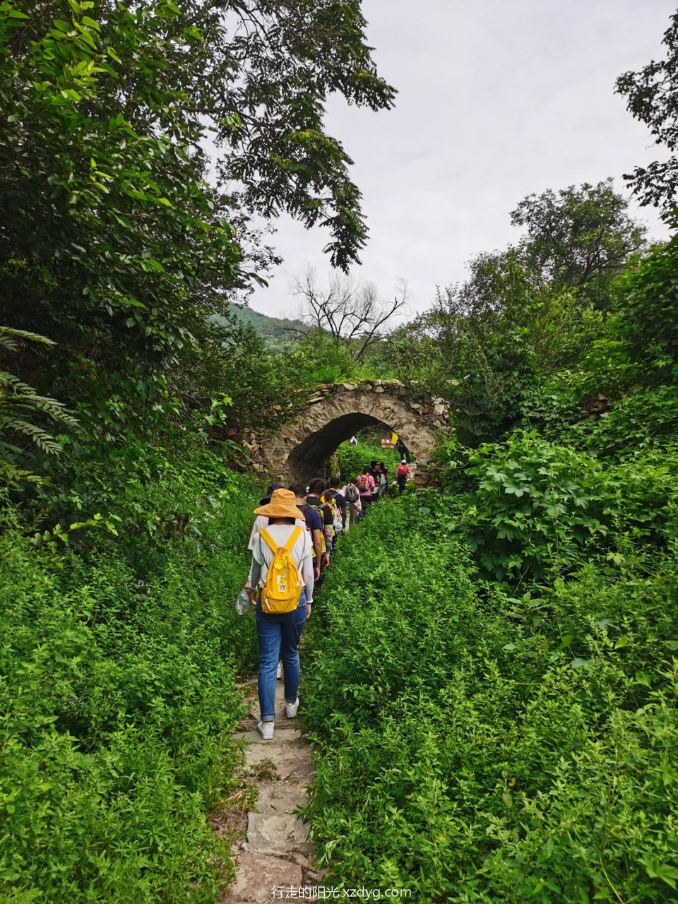 mmexport1596951245554