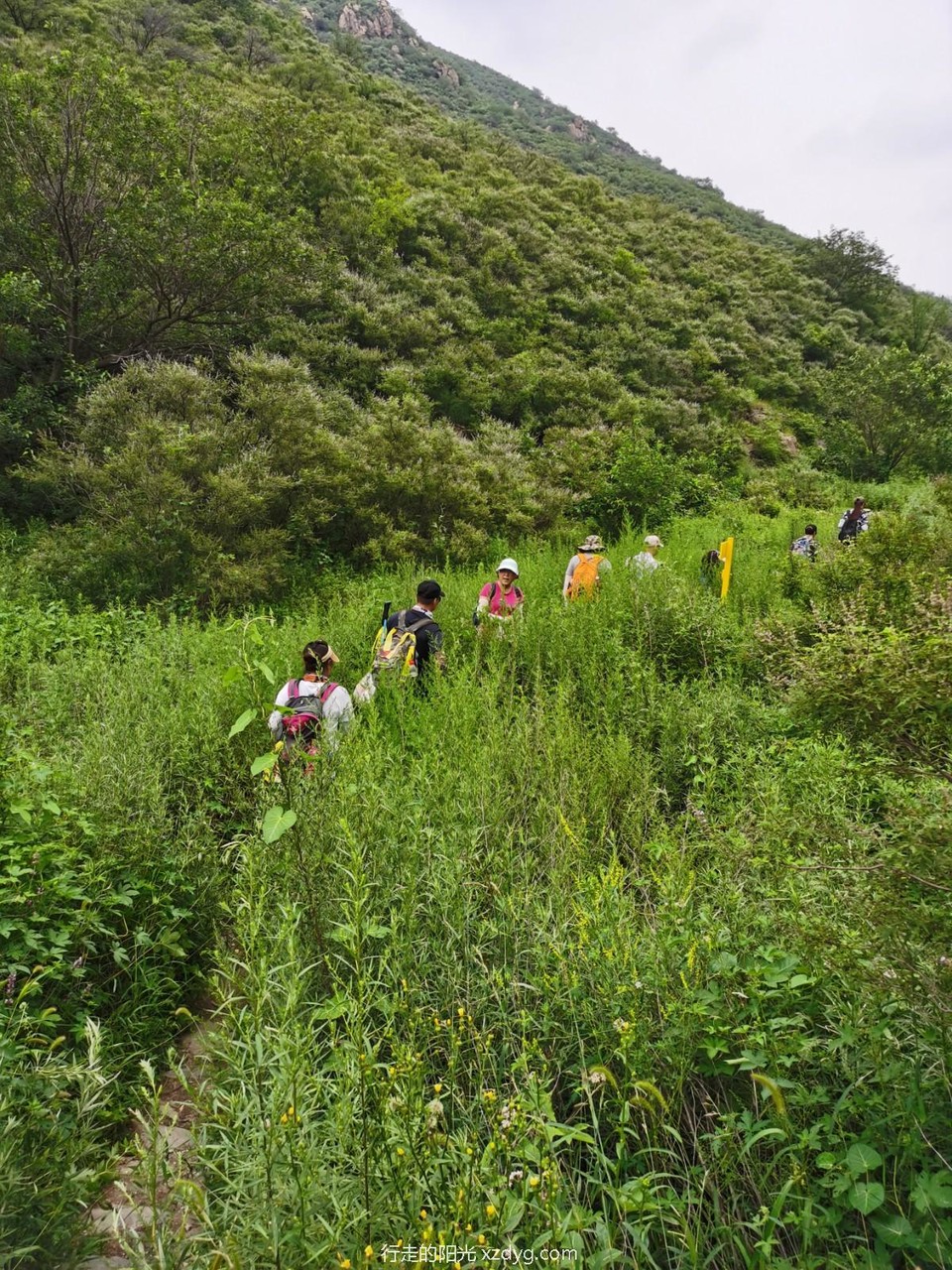 mmexport1596951232231