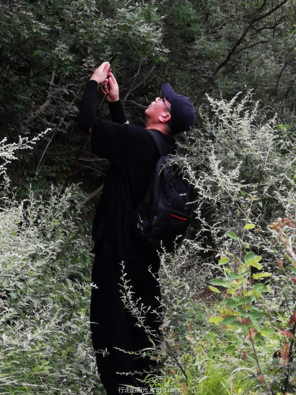 mmexport1596950442075