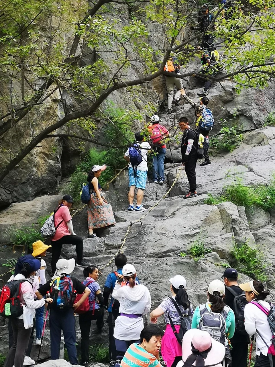 mmexport1596950427421