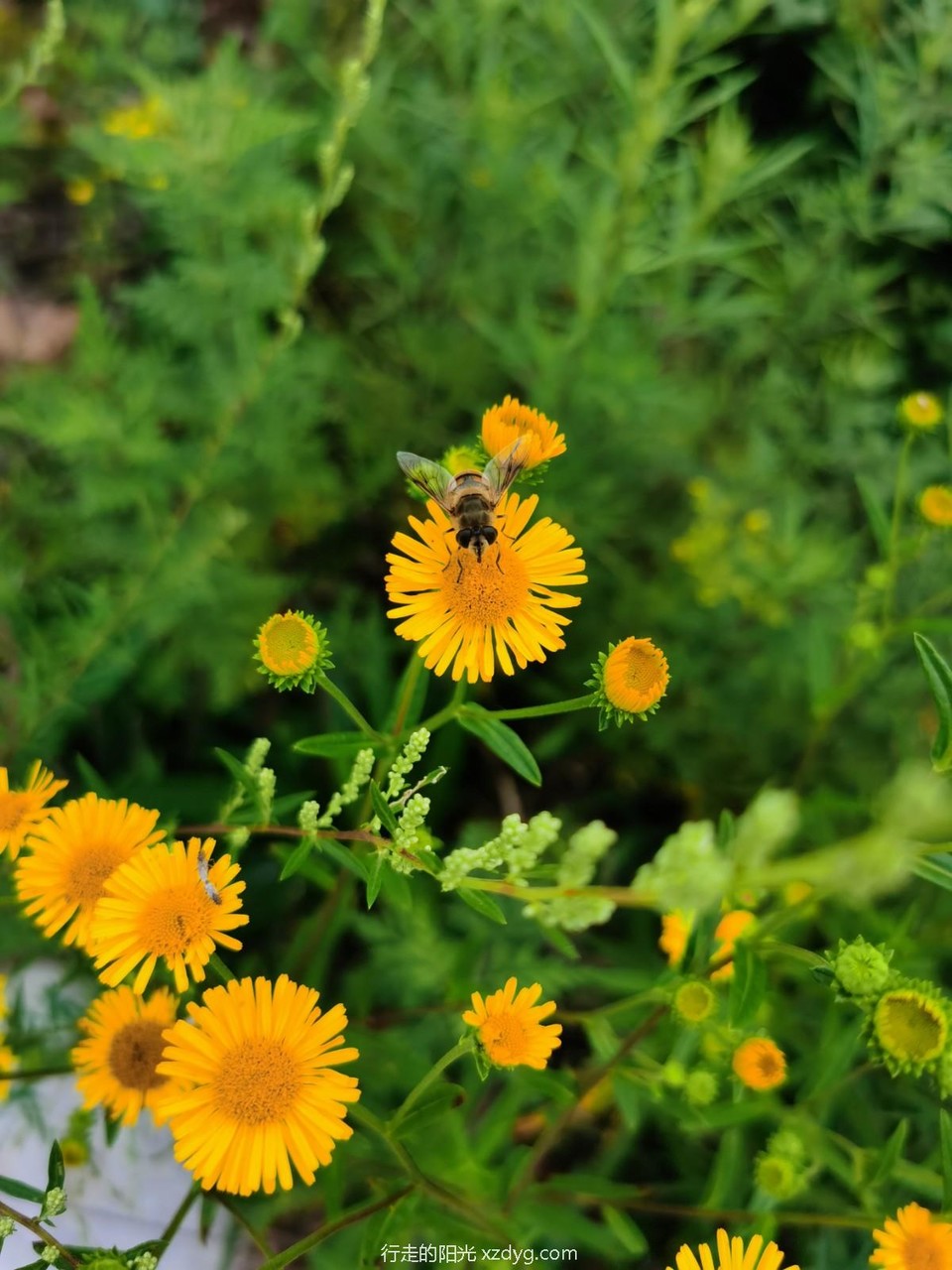 mmexport1596949915017