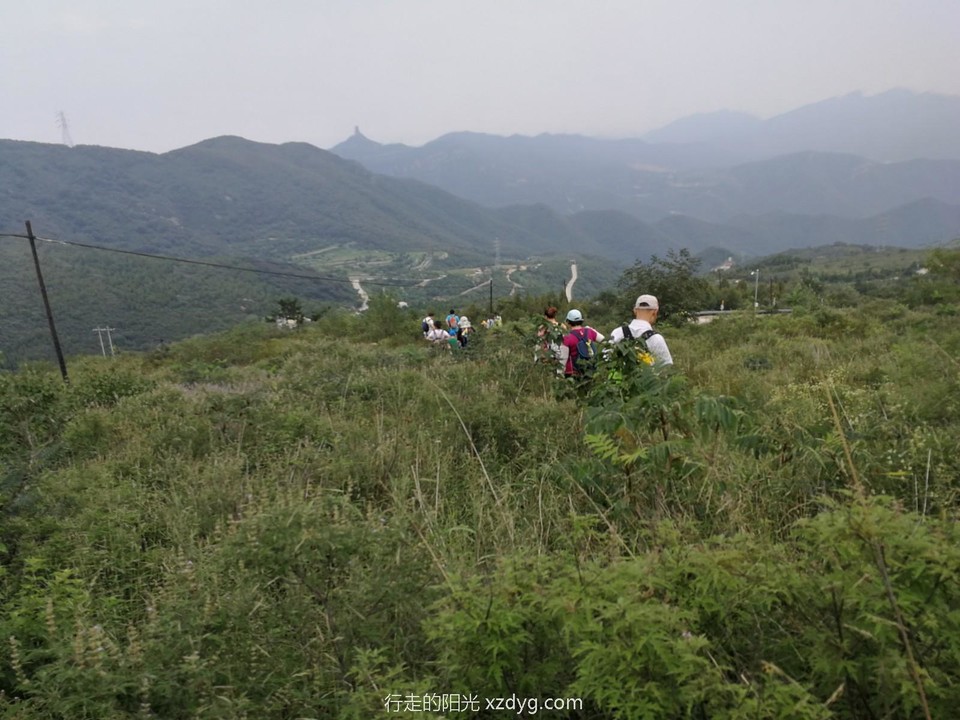 mmexport1596937112294