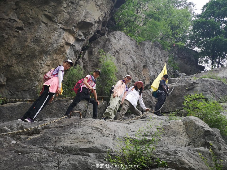 mmexport1596936871439