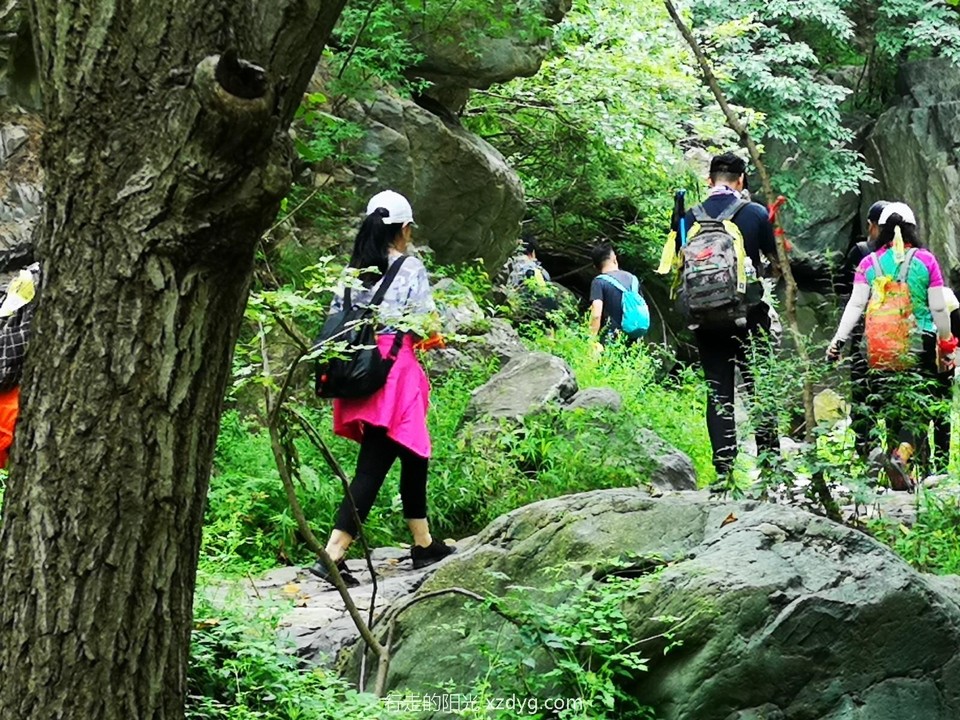 mmexport1596936443853