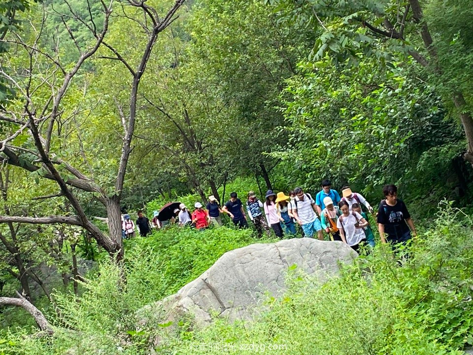 mmexport1596936311234