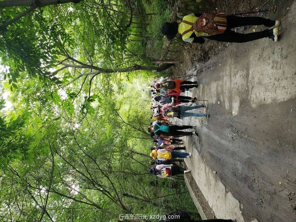 JPEG_20200808_105436_2782687024655060612