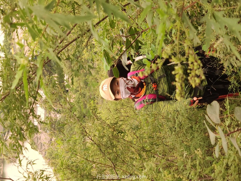 mmexport1597638433288