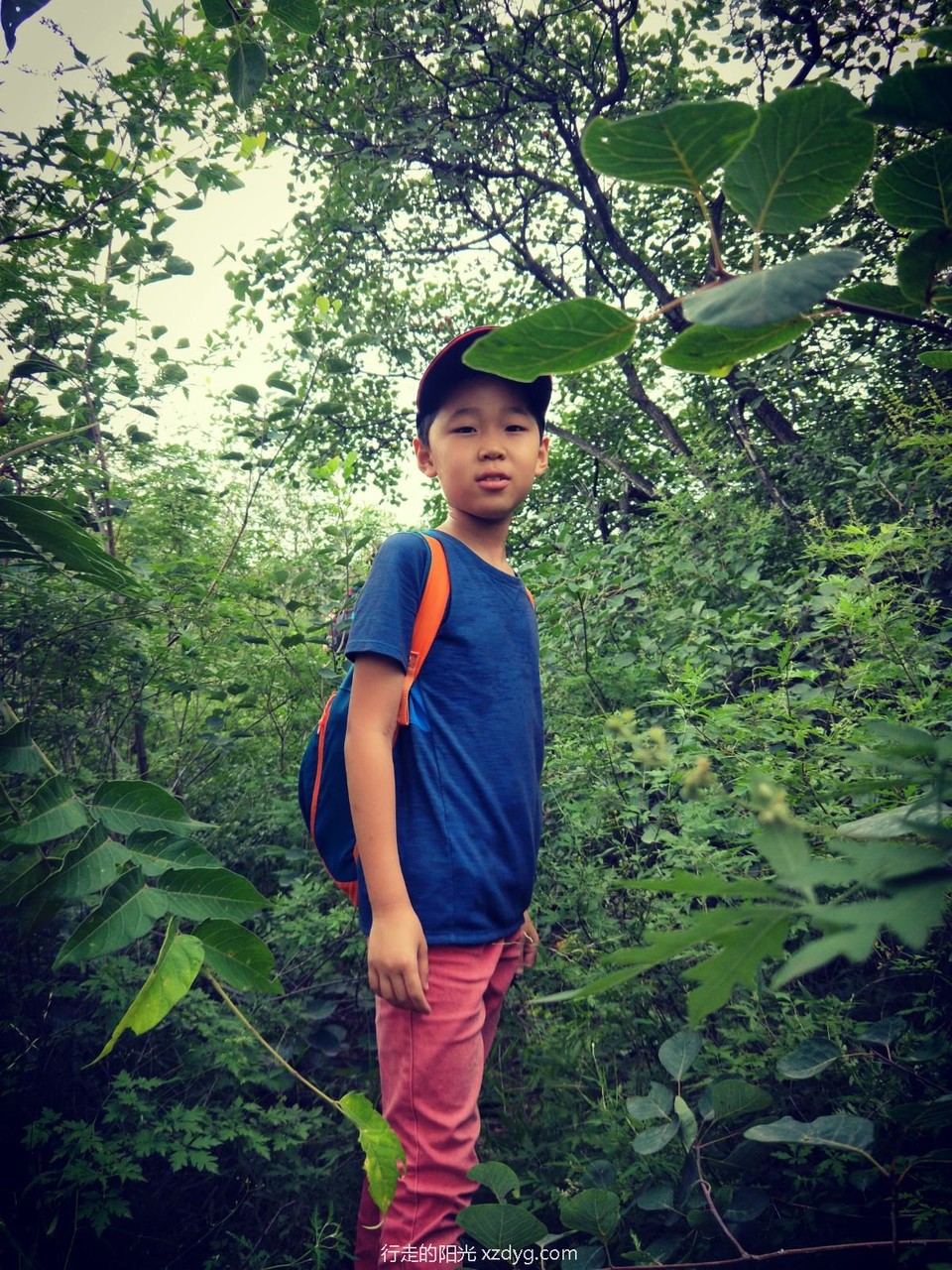 mmexport1597638401915