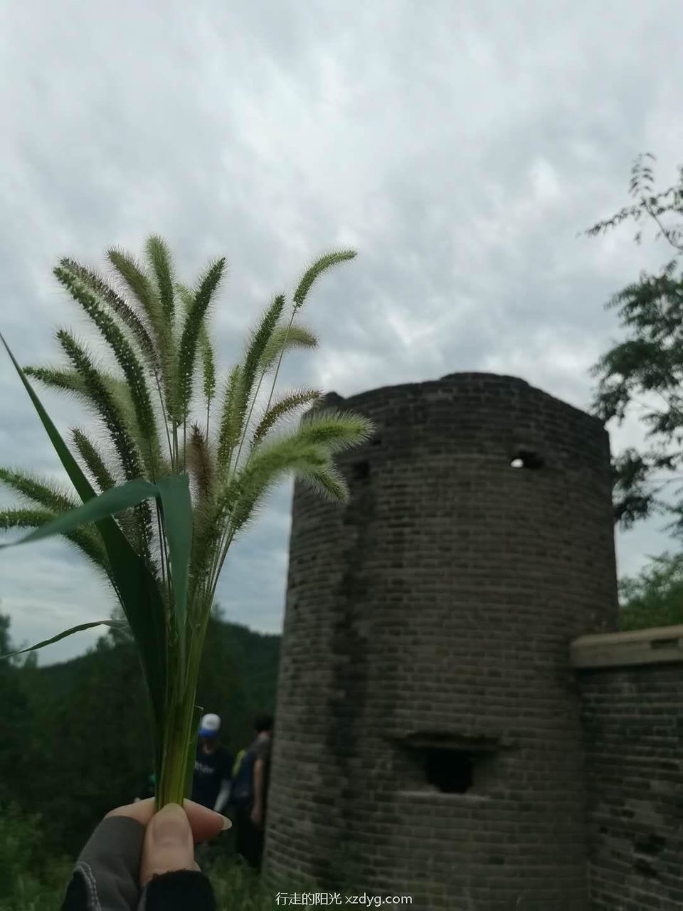 mmexport1597638384522