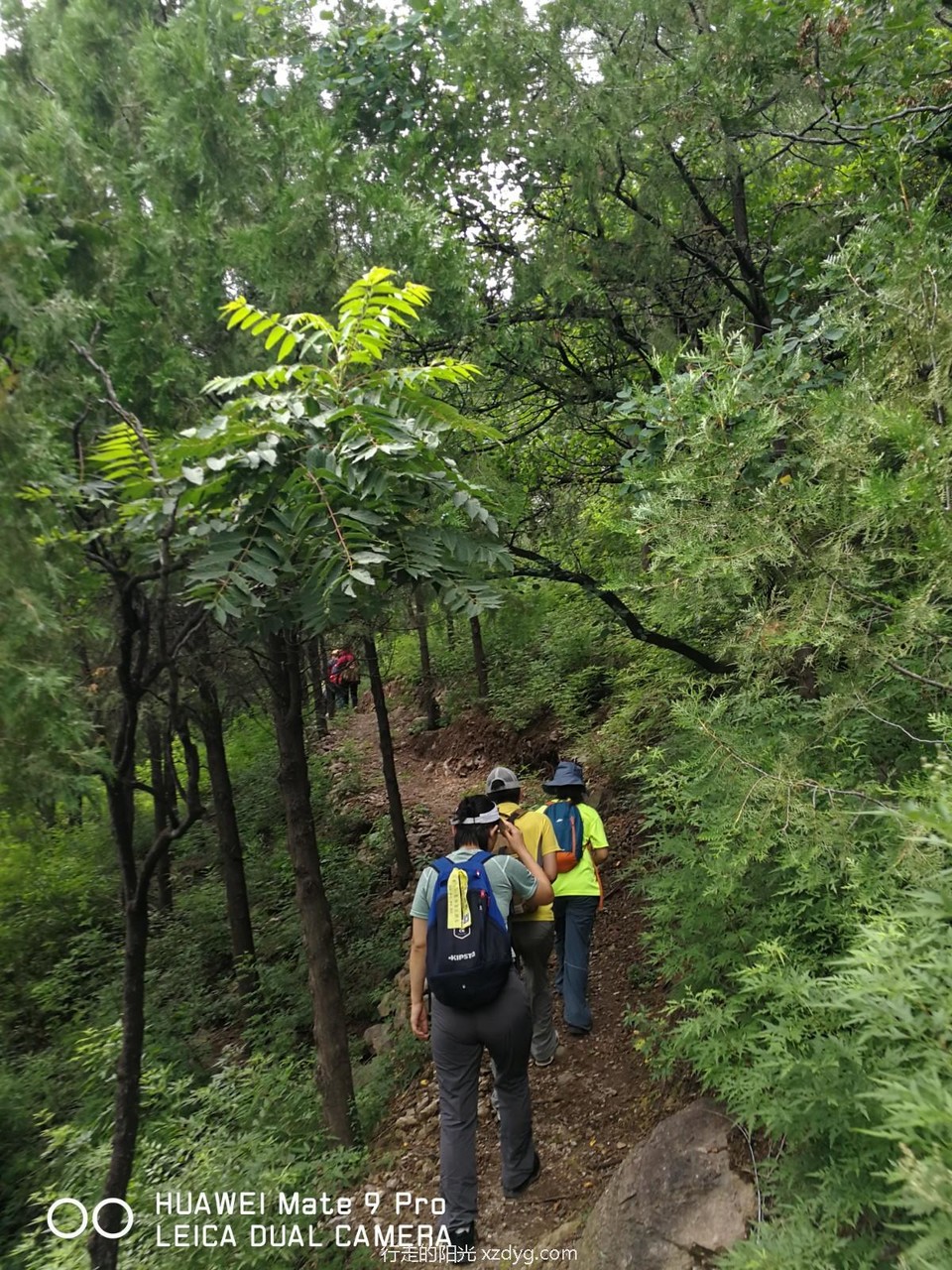 mmexport1597638309781