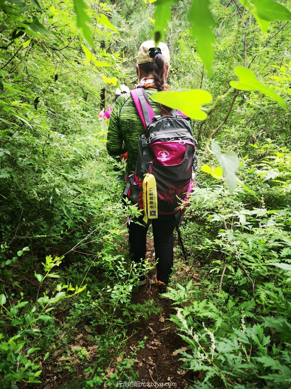 mmexport1597638131788