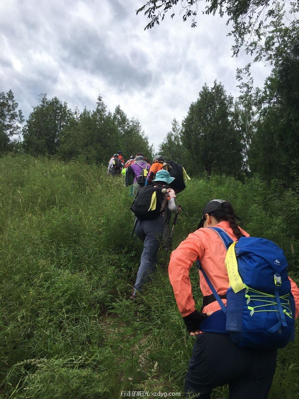 mmexport1597638005676