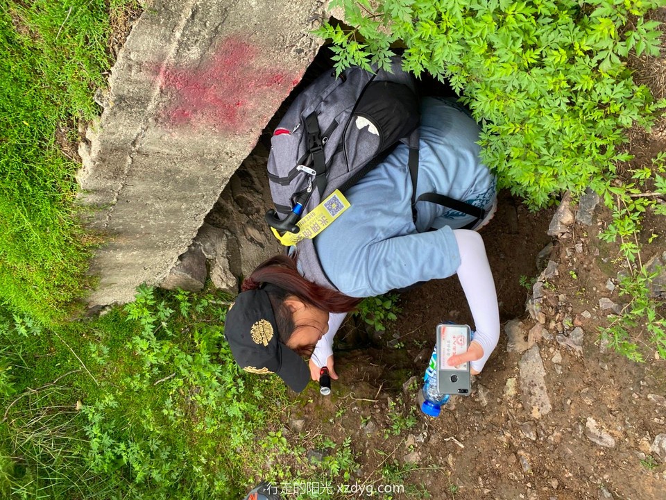 mmexport1597637961421