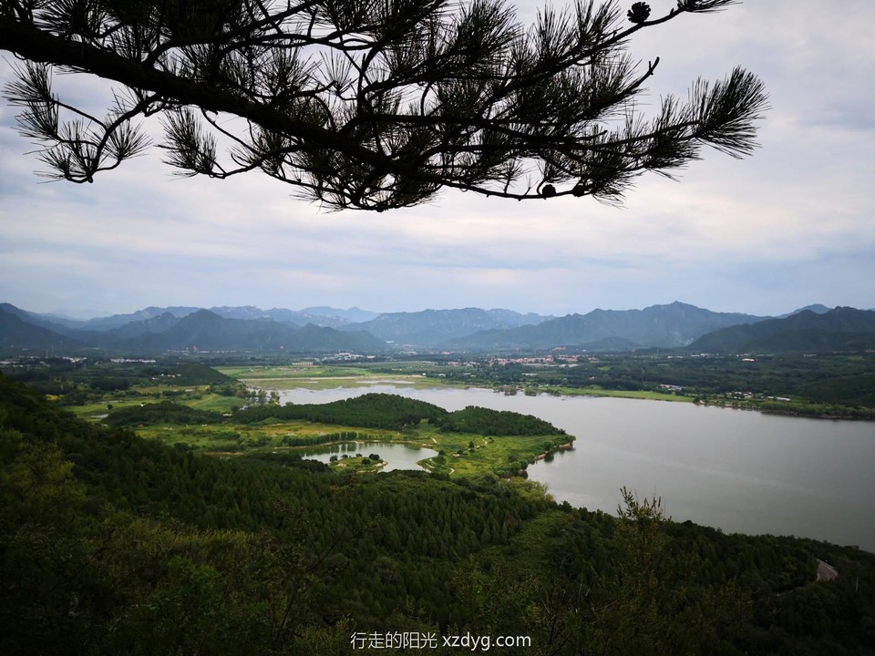 mmexport1597545662082