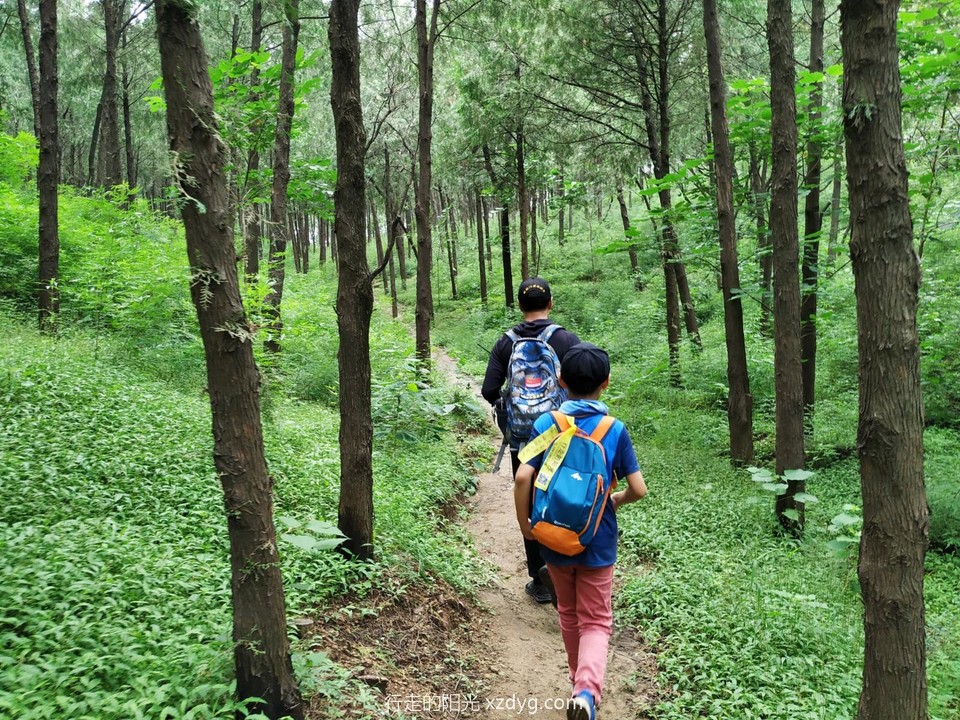 mmexport1597545325095