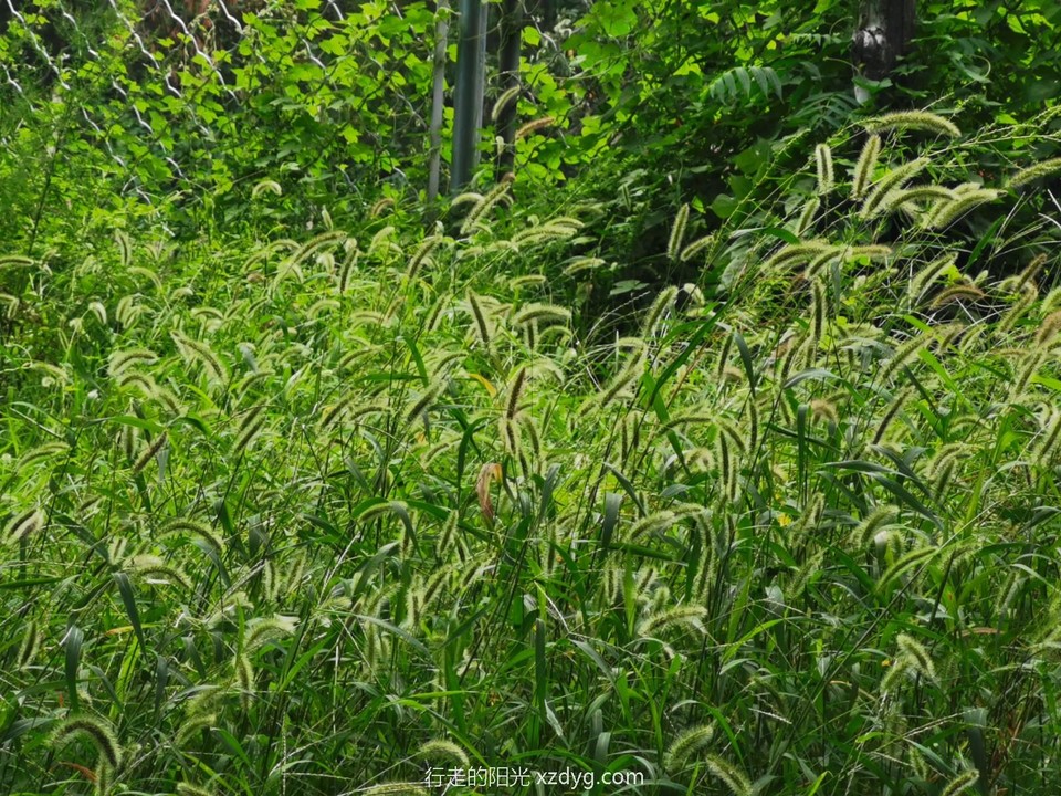 mmexport1597545117921