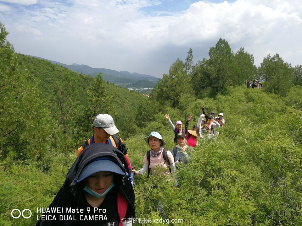 mmexport1597544938973