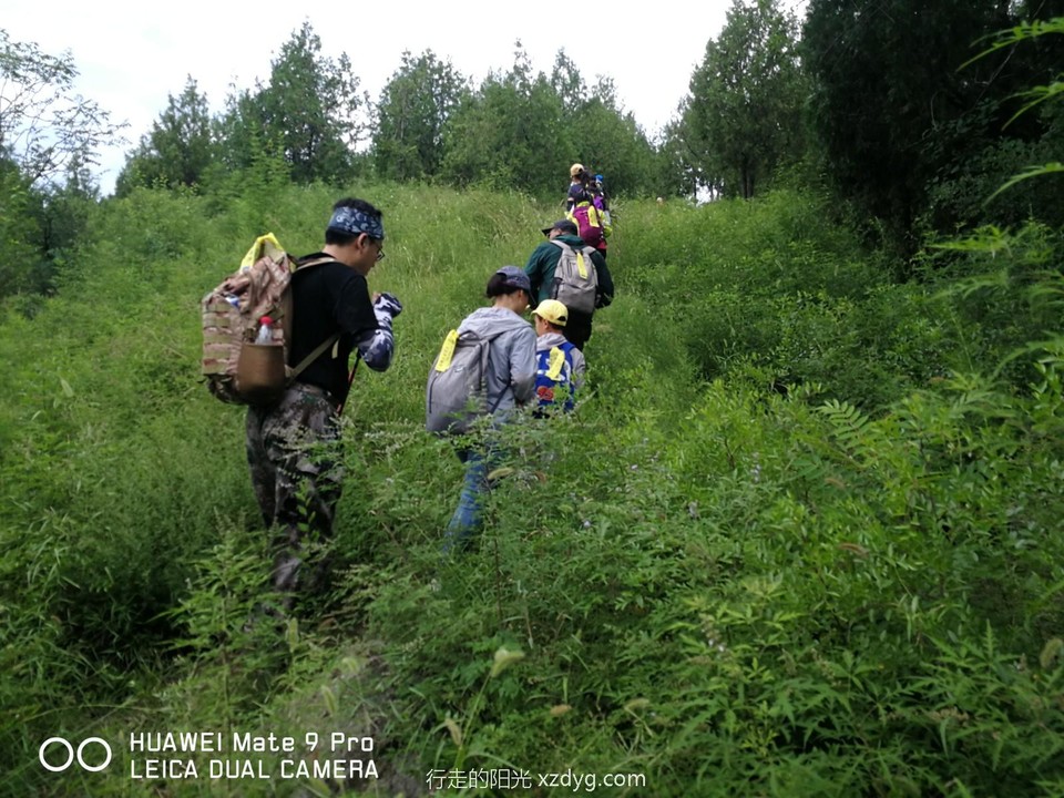 mmexport1597544914949