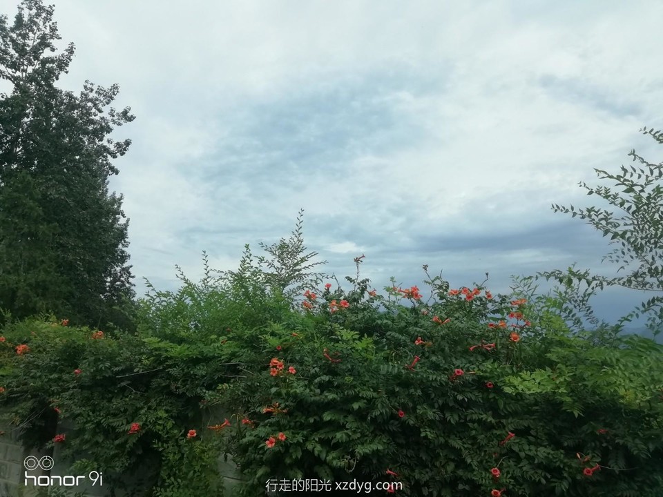 mmexport1597544402102