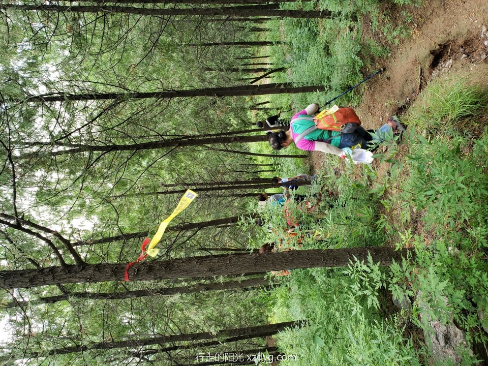 JPEG_20200815_134018_8112751442504389811