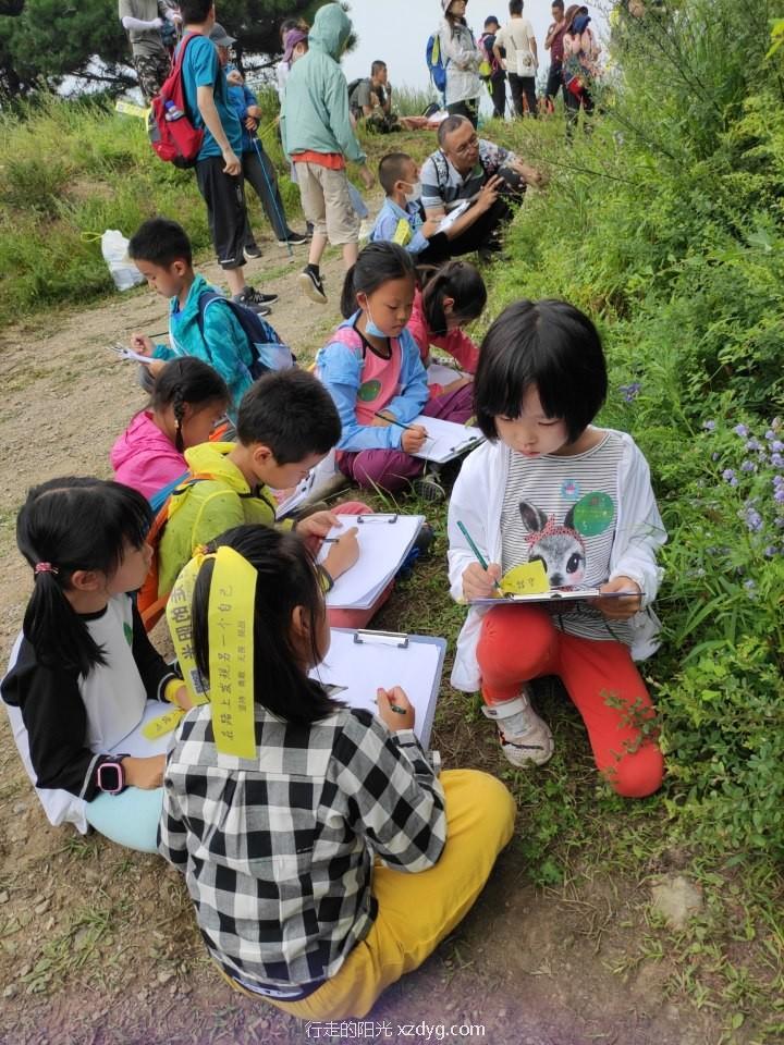 mmexport1598182719960