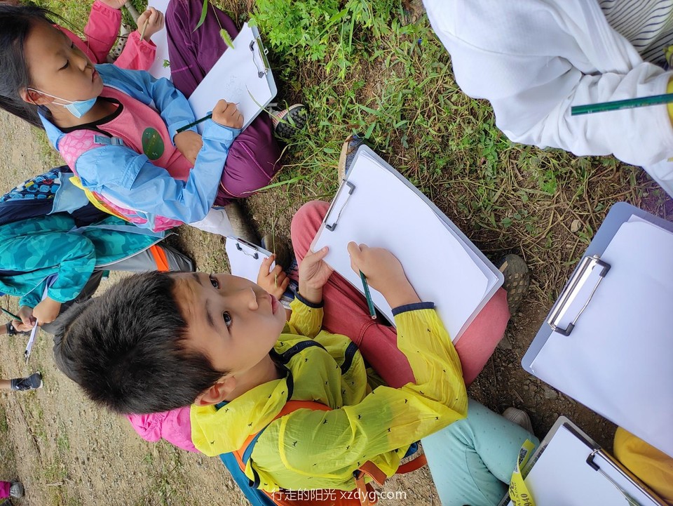 mmexport1598182710785