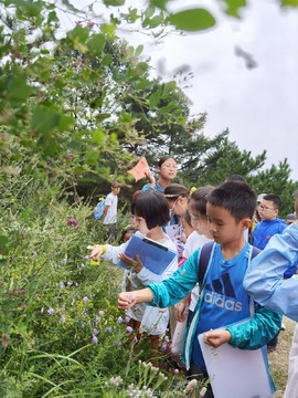 mmexport1598182631526