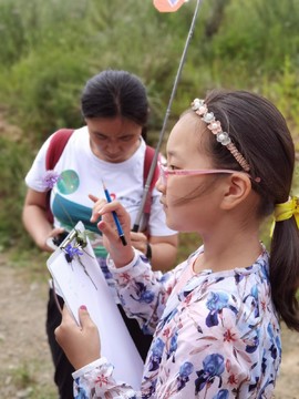 mmexport1598182571526