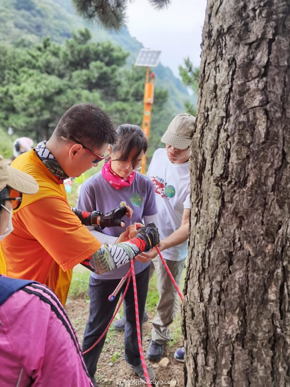 mmexport1598182533246