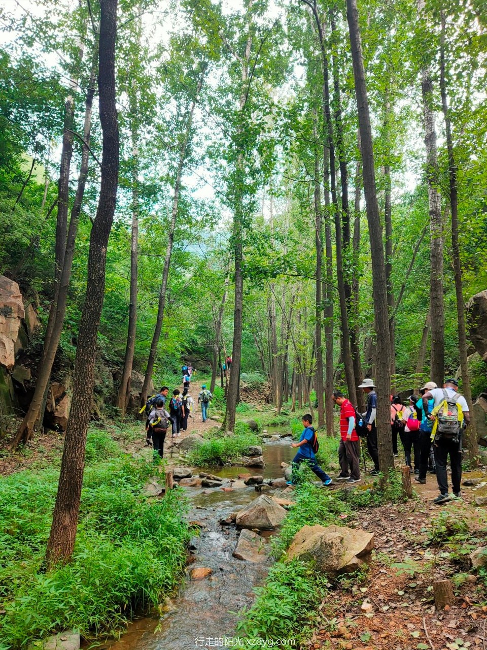 mmexport1598243075642