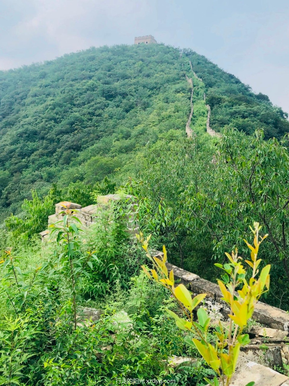 mmexport1598242788146