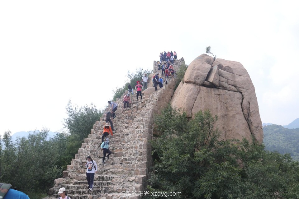 mmexport1598229998550