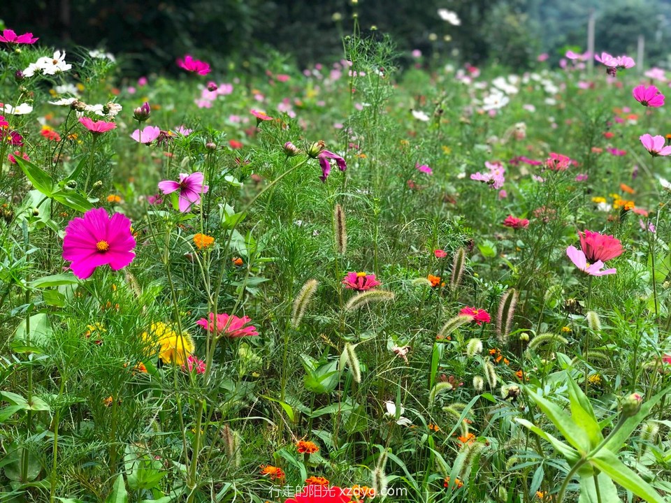 mmexport1598228694986