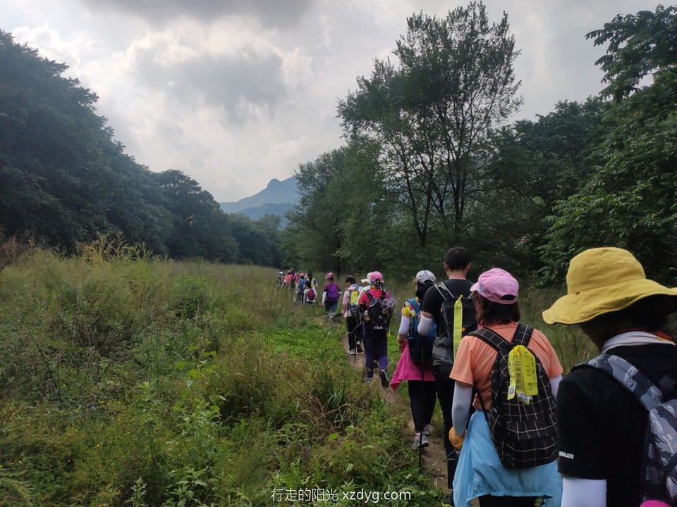 mmexport1598755381919