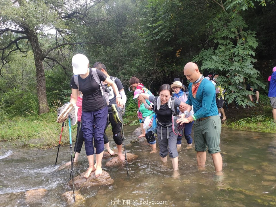 mmexport1598755356215