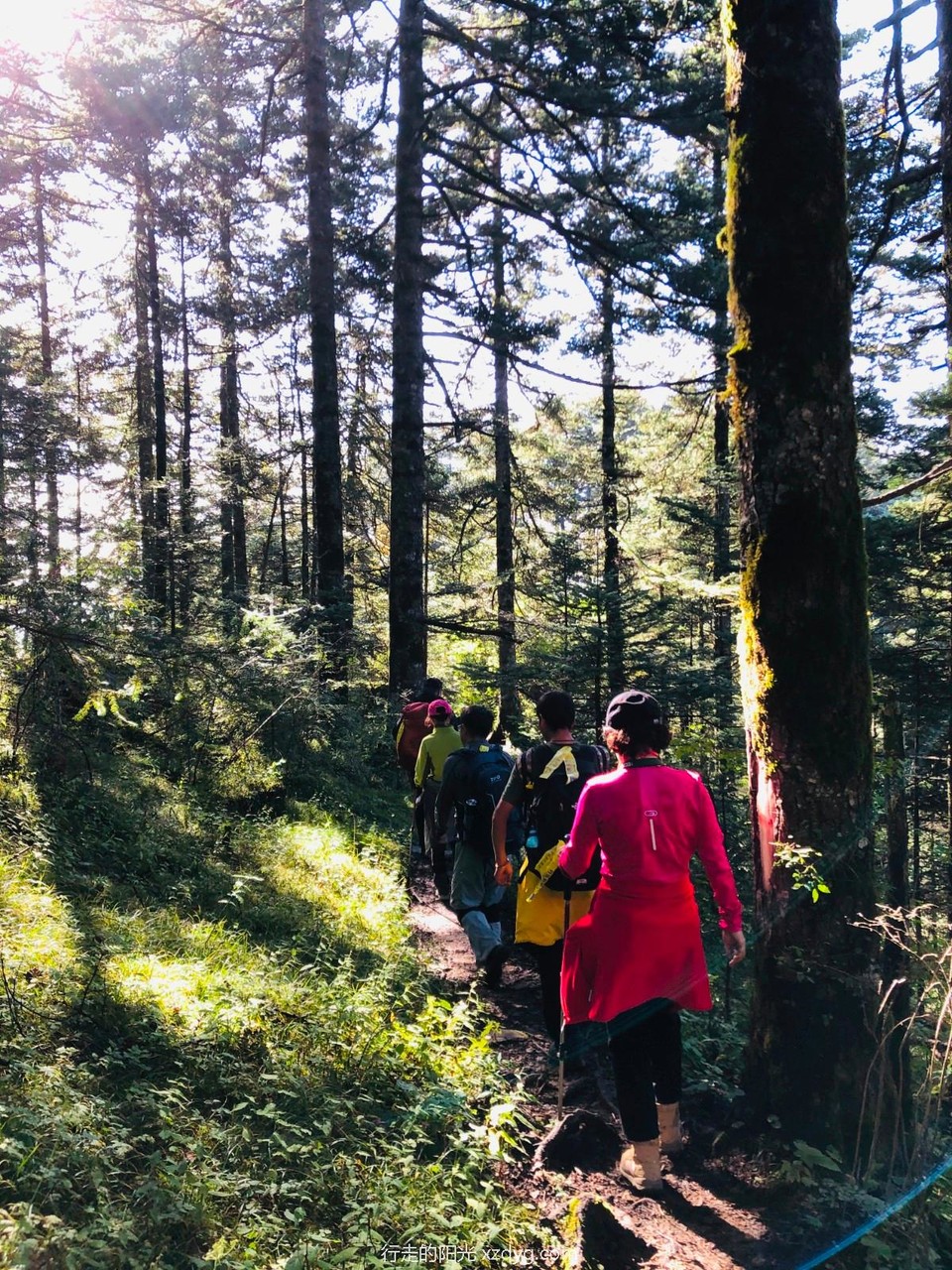 mmexport1599546694346