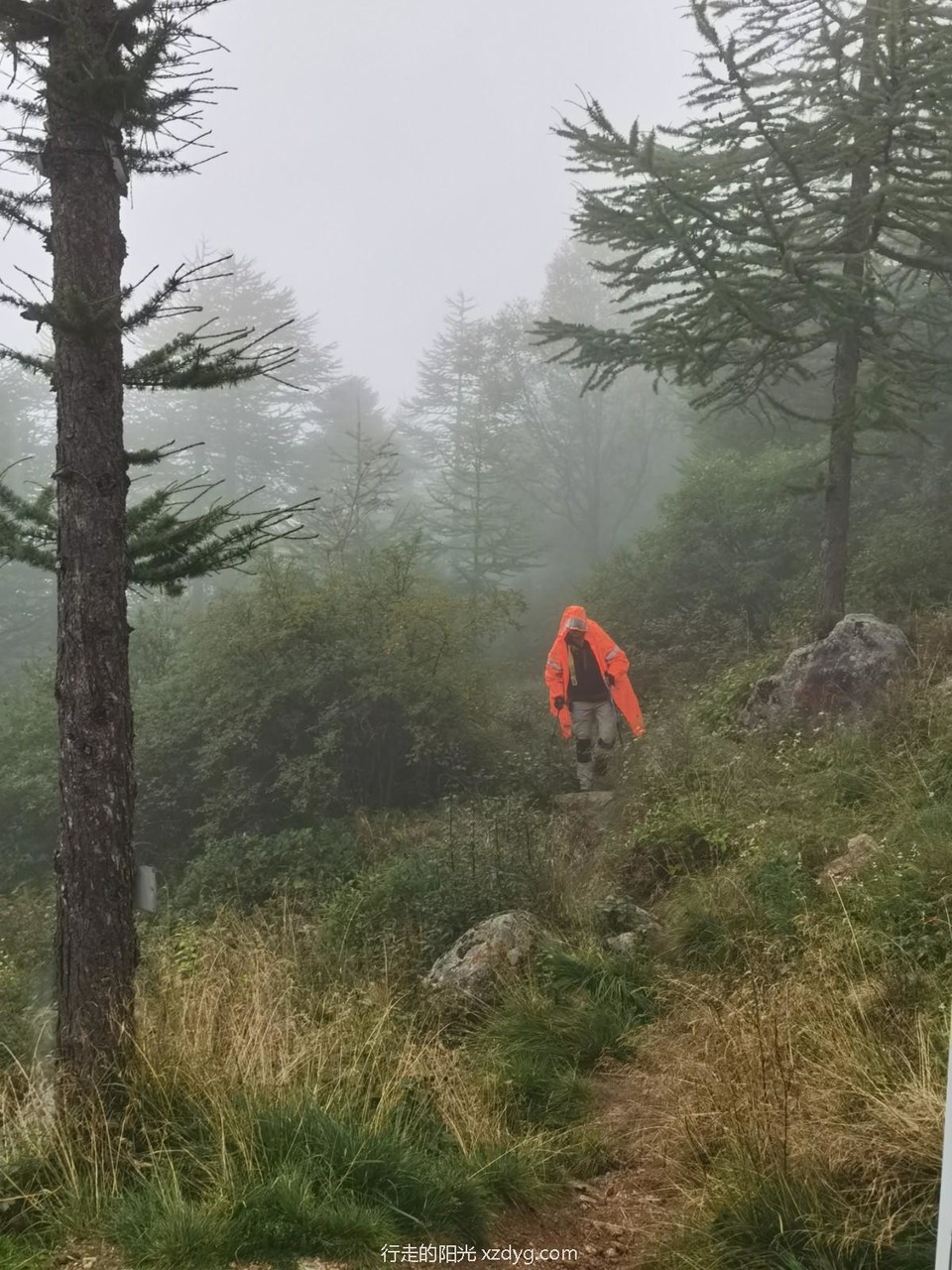 mmexport1599543761466