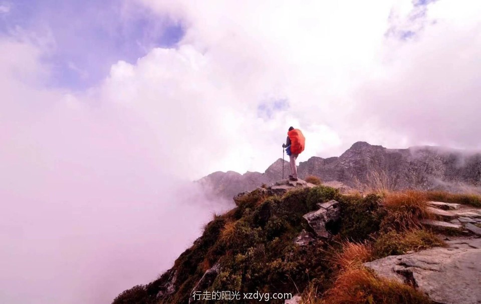 mmexport1599491741930