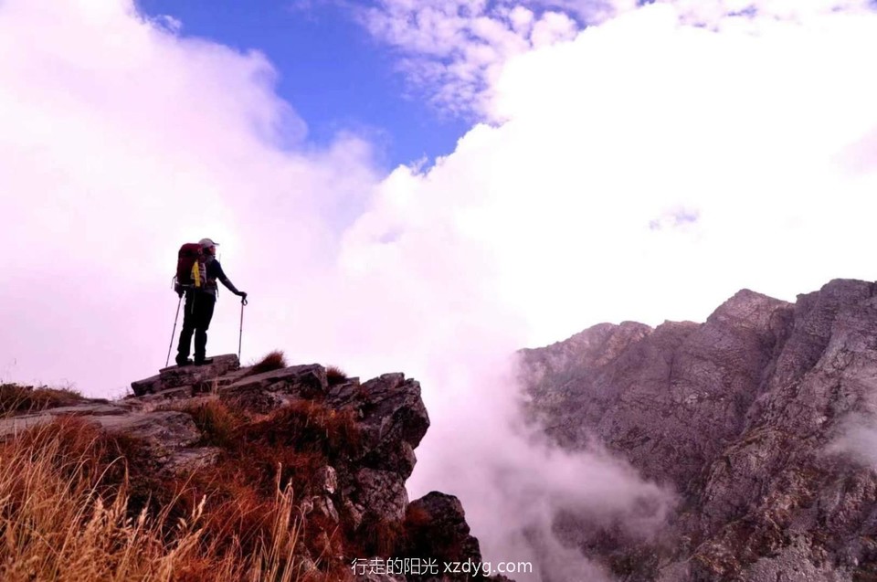 mmexport1599491738816