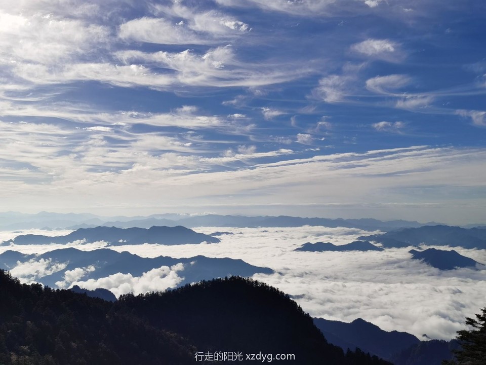 mmexport1599491153961