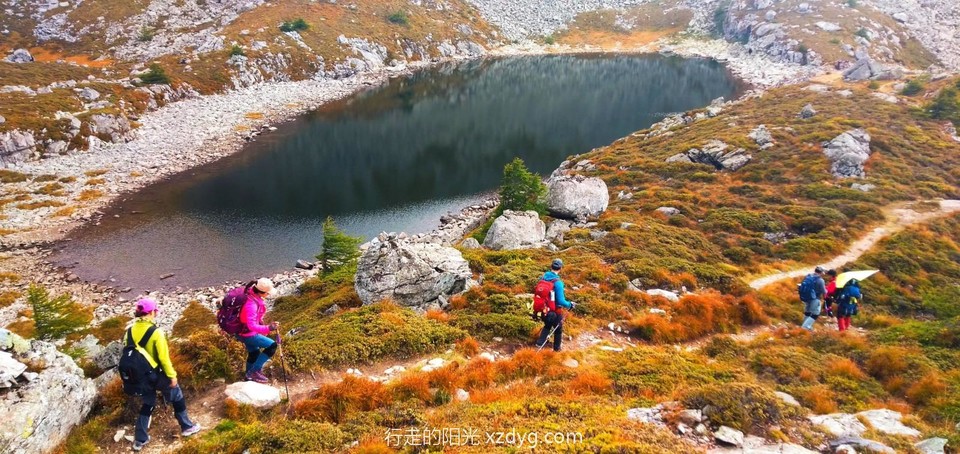 mmexport1599456997743