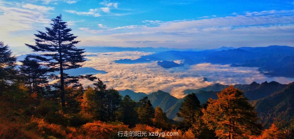 mmexport1599456983468