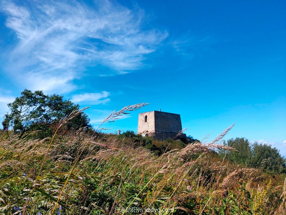 mmexport1599554942998