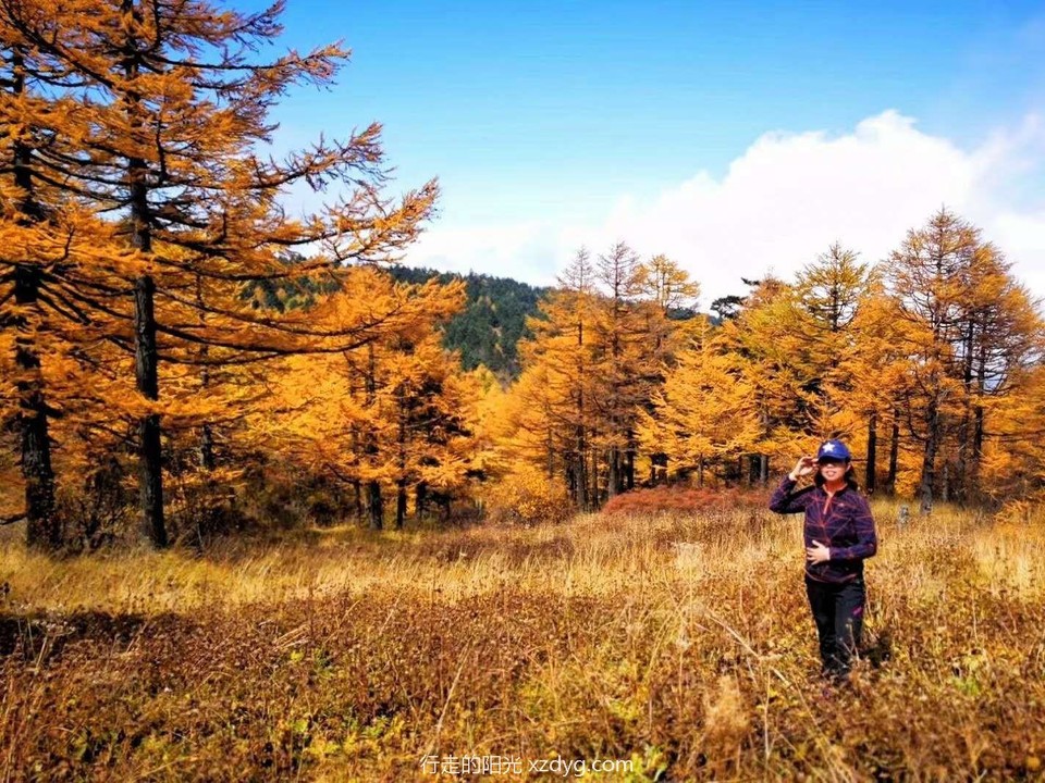 mmexport1599810384094