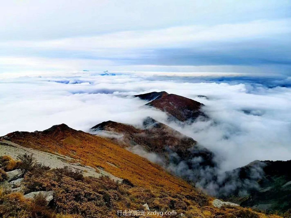 mmexport1599810374441